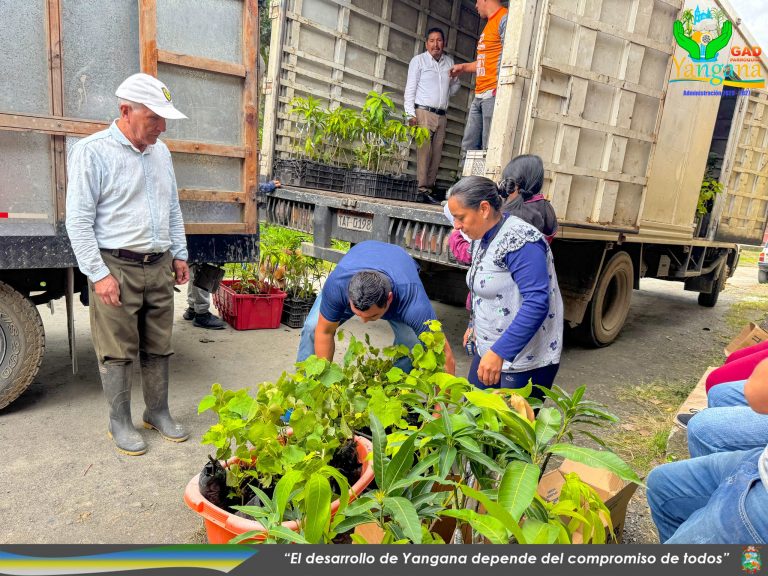 IMPULSANDO EL DESARROLLO SOSTENIBLE EN NUESTRA TIERRA